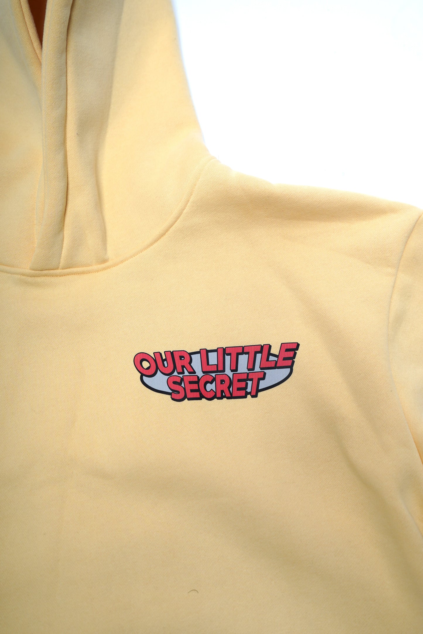 SHOCKING SECRETS Hoodie