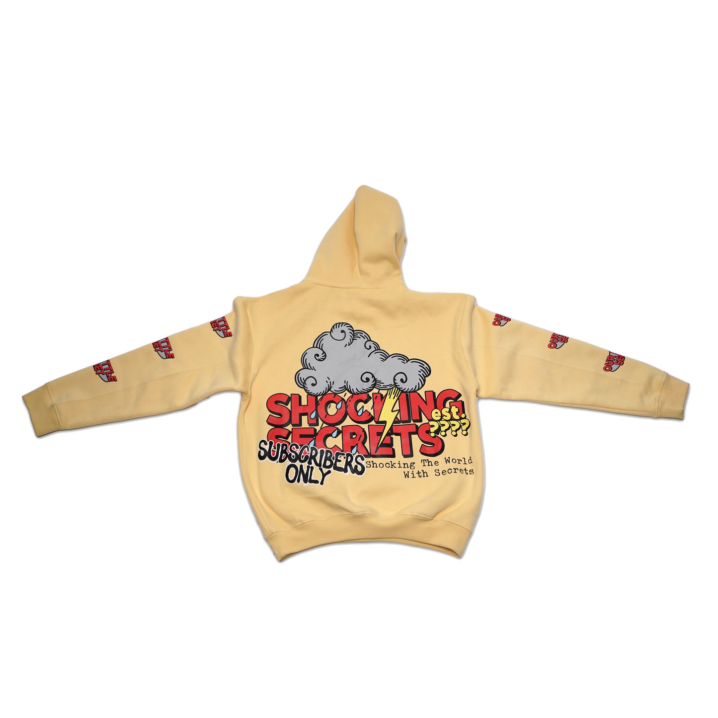 SHOCKING SECRETS Hoodie